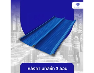 Image (1)